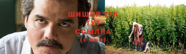 гидра Арсеньев