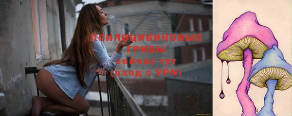 гидра Арсеньев