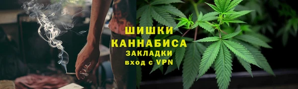 Альфа ПВП Аркадак