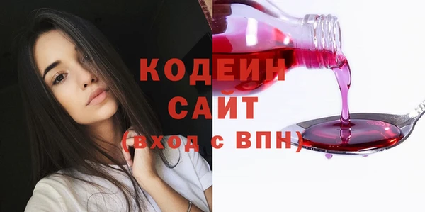 гидра Арсеньев