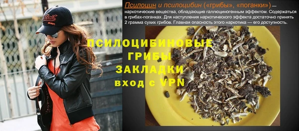 Альфа ПВП Аркадак