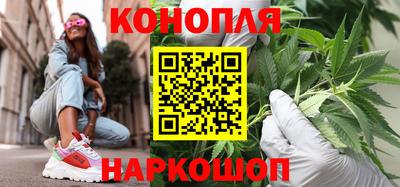 прущие грибы Шебекино