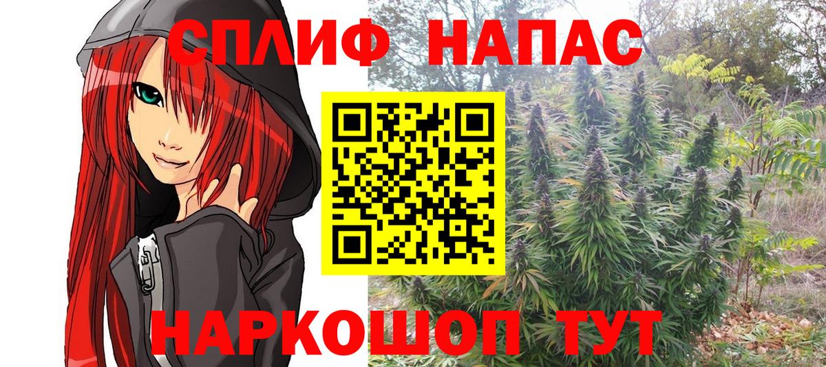 Бошки марихуана OG Kush Аша